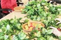 신체증진프로그램 * 딸기넝쿨에 딸기 꽂기 