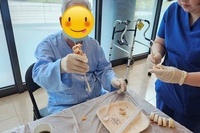 취미여가프로그램*돌돌말아 햄치즈샌드위치